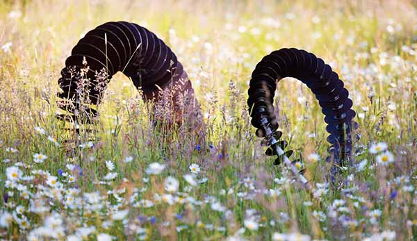 Coluna sculpture in a wildflower meadow